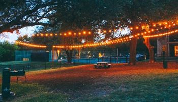 outdoor venue with fireside seating in apartments near zilker park
